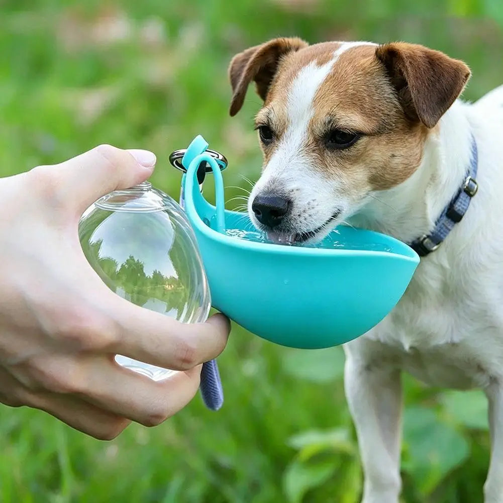 285ML Leakproof Pet Water Bottle Silicone Drinking Bowl Detachable Lanyard Portable Dog Feeder for Walking Travel